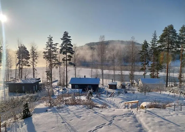 Aatos Willa Jyväskylä